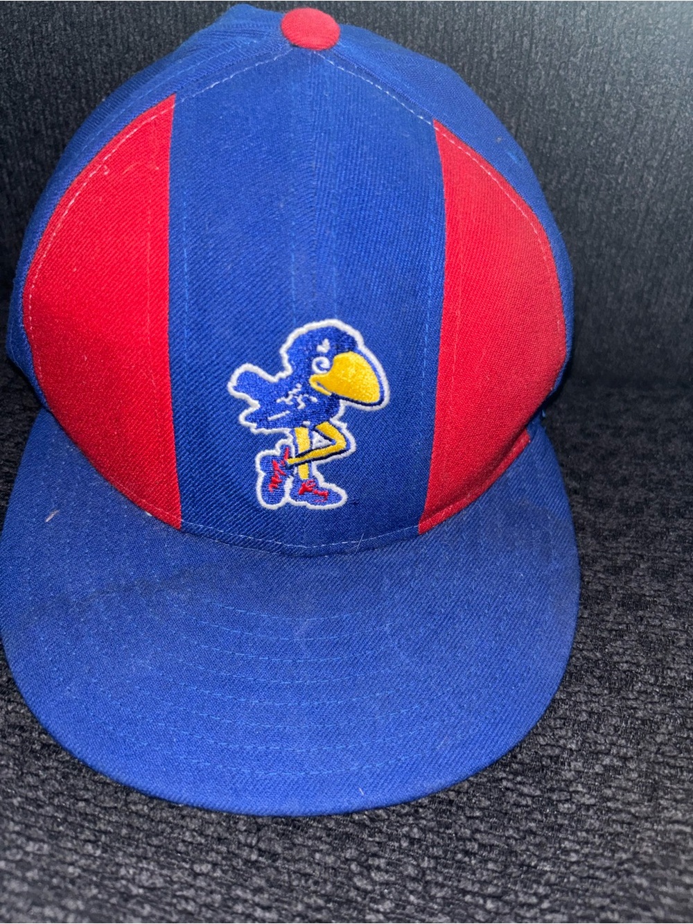 Blue and Red Baseball Cap with Bird Logo